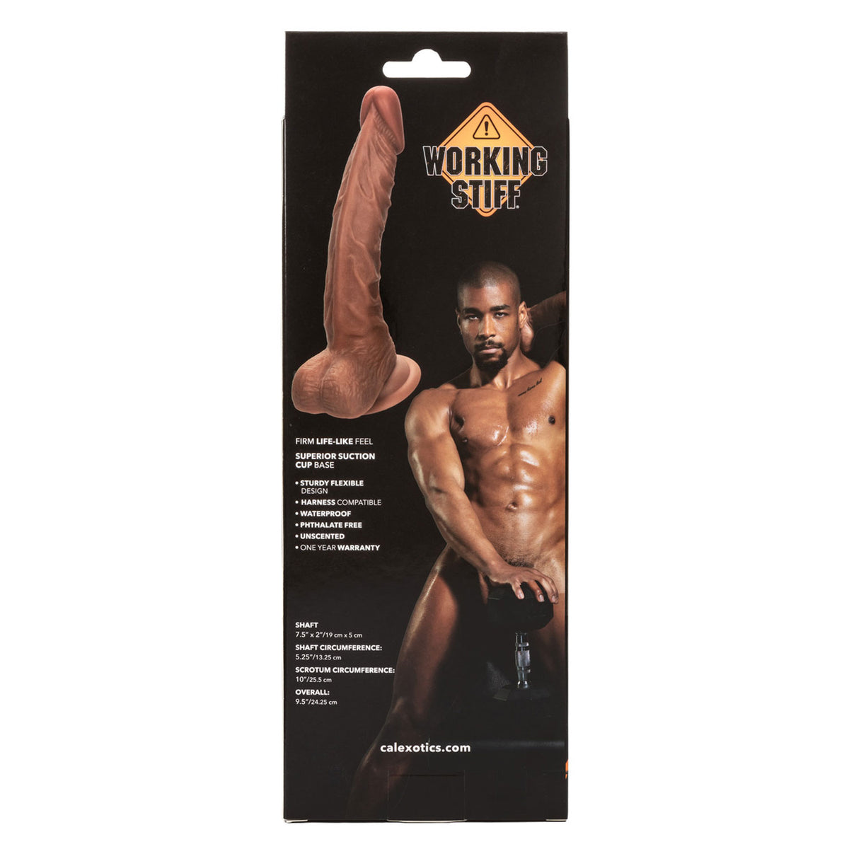 Working Stiff the Personal Trainer 7.5&quot; - Brown